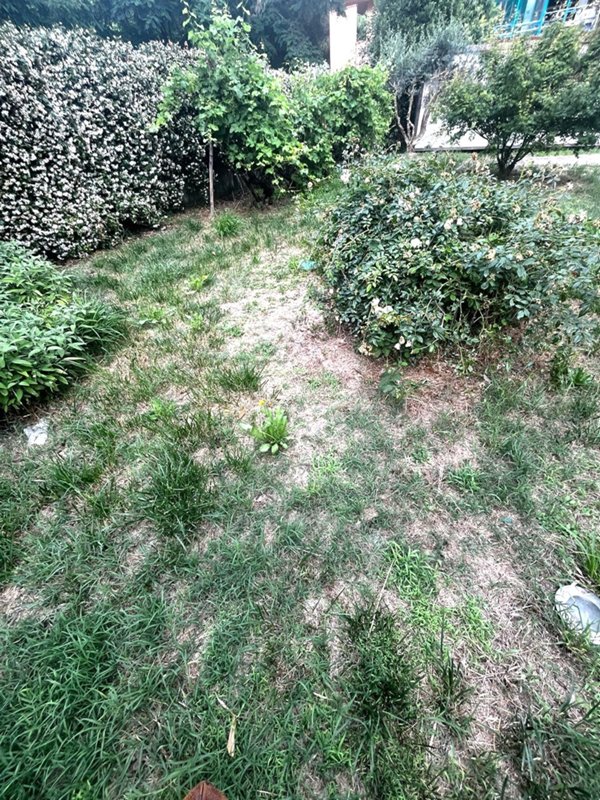 casa indipendente in vendita a Campi Bisenzio