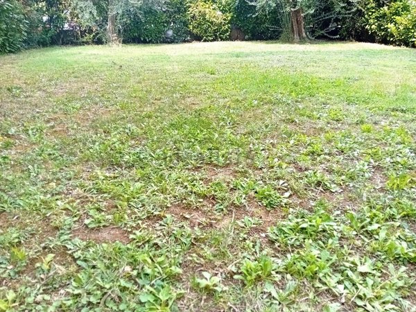 appartamento in vendita a Campi Bisenzio in zona San Donnino
