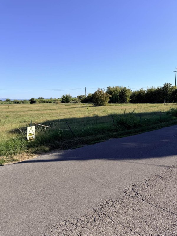 terreno agricolo in vendita a Campi Bisenzio in zona Le Miccine