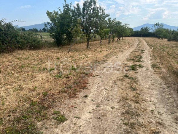 casa indipendente in vendita a Campi Bisenzio