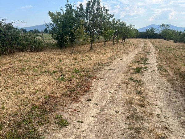 terreno agricolo in vendita a Campi Bisenzio in zona Capalle