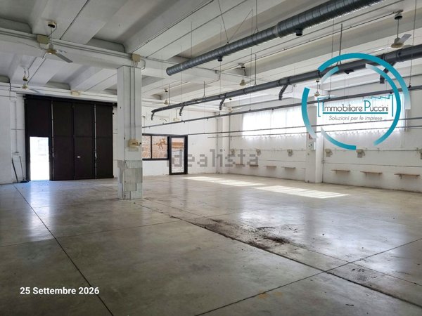 capannone in vendita a Campi Bisenzio in zona Capalle