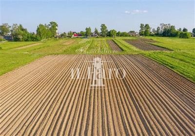 terreno agricolo in vendita a Campi Bisenzio in zona Capalle