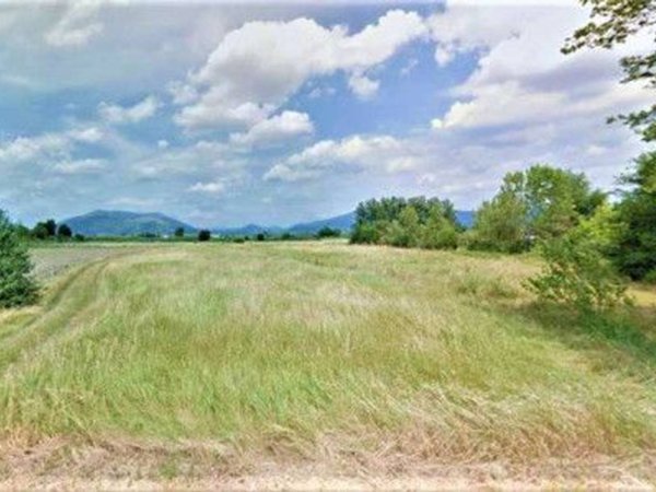 terreno agricolo in vendita a Campi Bisenzio in zona La Madonnina