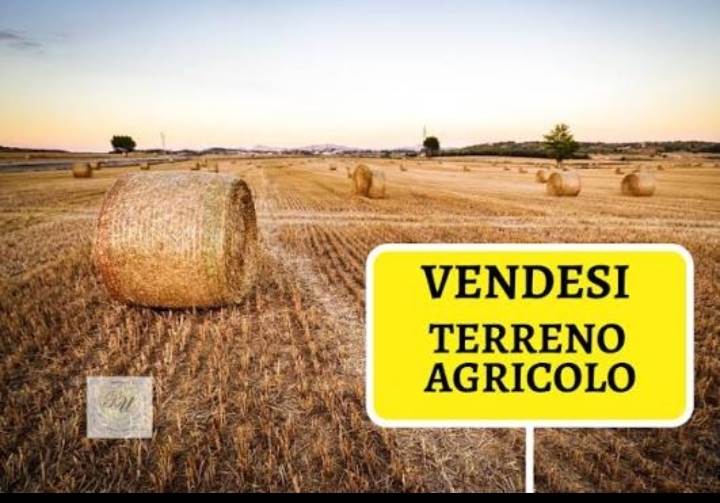 terreno agricolo in vendita a Campi Bisenzio
