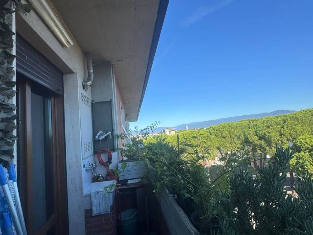 appartamento in vendita a Campi Bisenzio in zona Capalle
