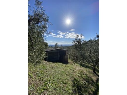 appartamento in vendita a Capraia e Limite in zona Castra