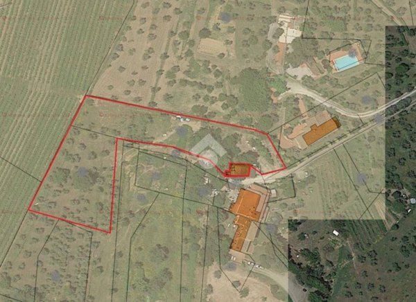 appartamento in vendita a Capraia e Limite in zona Limite sull' Arno