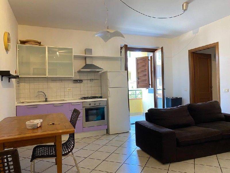 appartamento in vendita a Capraia e Limite