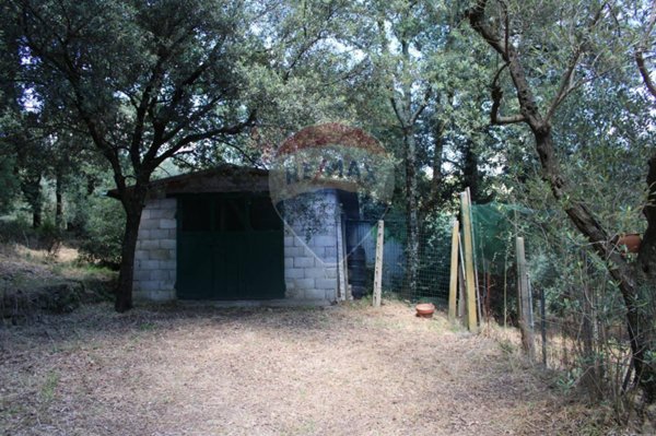 terreno agricolo in vendita a Capraia e Limite