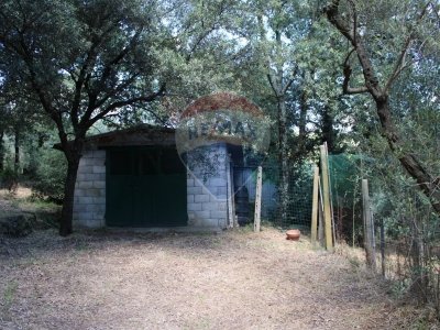 terreno agricolo in vendita a Capraia e Limite