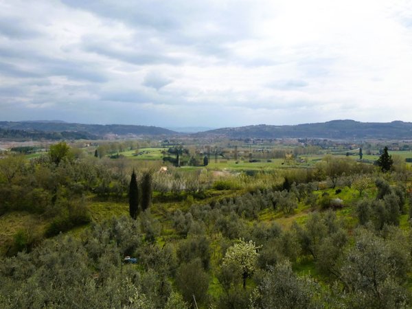 casa indipendente in vendita a Capraia e Limite