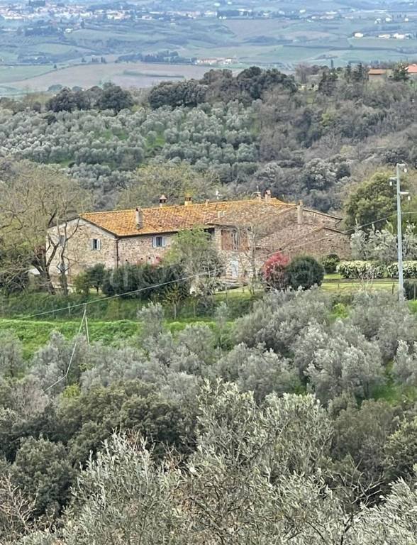 casa indipendente in vendita a Capraia e Limite in zona Castra