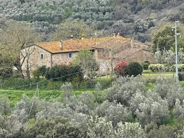 casa indipendente in vendita a Capraia e Limite in zona Castra