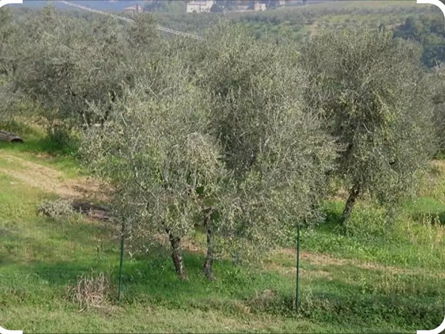 terreno agricolo in vendita a Capraia e Limite in zona Castra