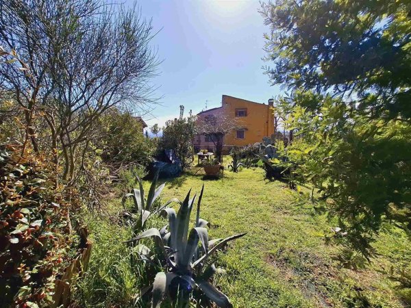 pentavano in vendita a Capraia e Limite