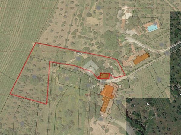 terreno agricolo in vendita a Capraia e Limite in zona Limite sull' Arno