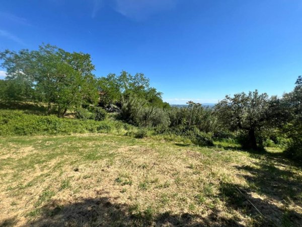 terreno agricolo in vendita a Capraia e Limite in zona Limite sull' Arno
