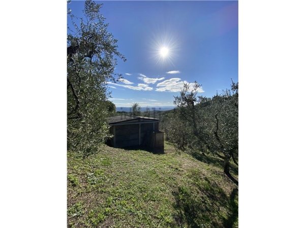 terreno agricolo in vendita a Capraia e Limite
