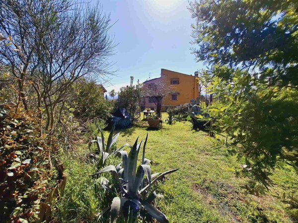 pentavano in vendita a Capraia e Limite
