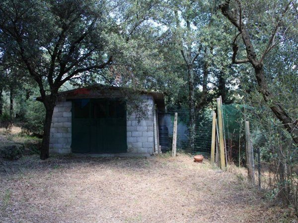 terreno agricolo in vendita a Capraia e Limite