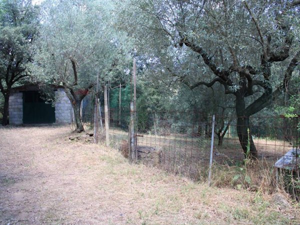 terreno agricolo in vendita a Capraia e Limite