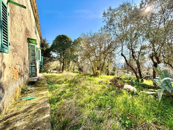 casa indipendente in vendita a Capraia e Limite in zona Castra