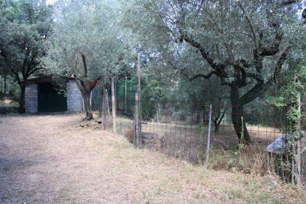 terreno agricolo in vendita a Capraia e Limite