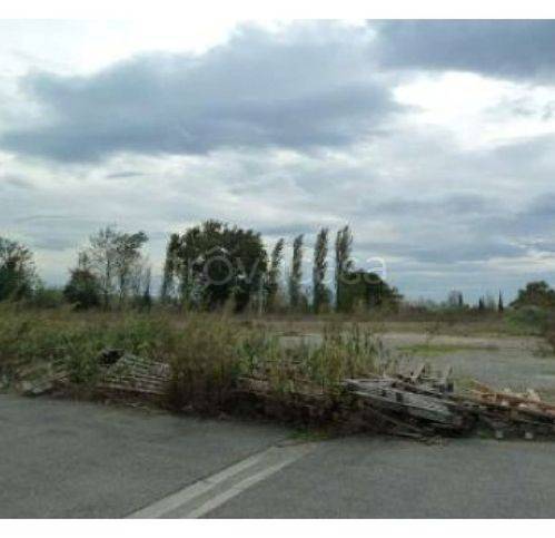 terreno agricolo in vendita a Capraia e Limite