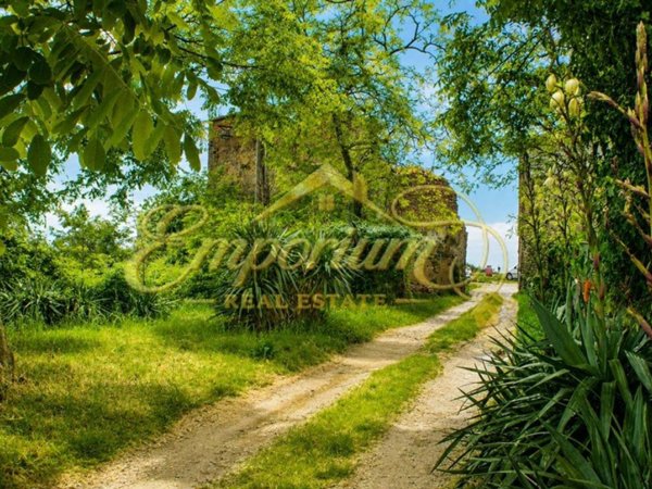 casa indipendente in vendita a Capraia e Limite