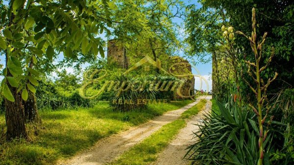 appartamento in vendita a Capraia e Limite