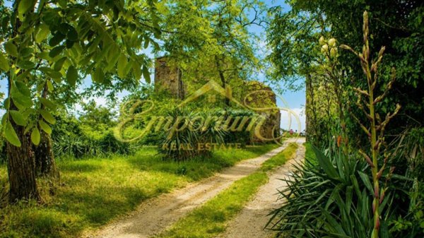 casa indipendente in vendita a Capraia e Limite