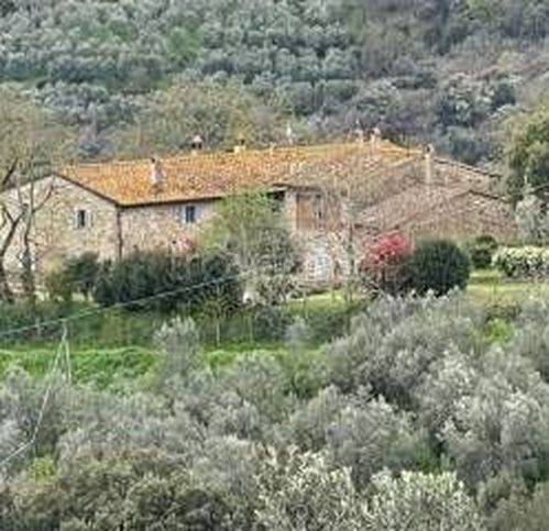 casa indipendente in vendita a Capraia e Limite in zona Castra
