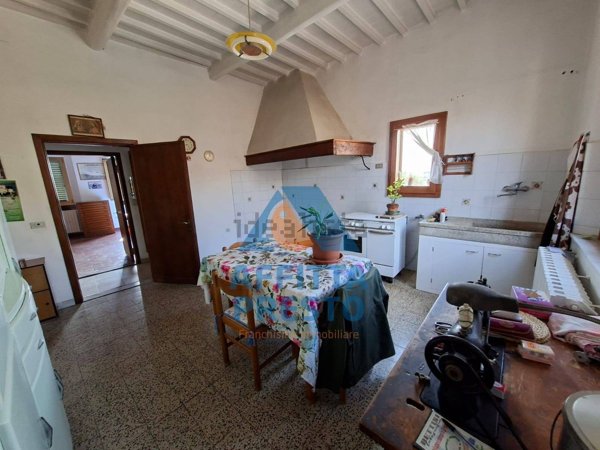 appartamento in vendita a Capraia e Limite