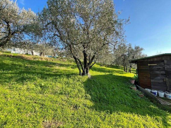 terreno agricolo in vendita a Capraia e Limite in zona Castra