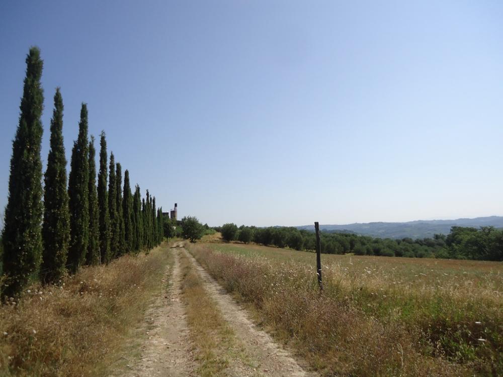 appartamento in vendita a Castelfiorentino