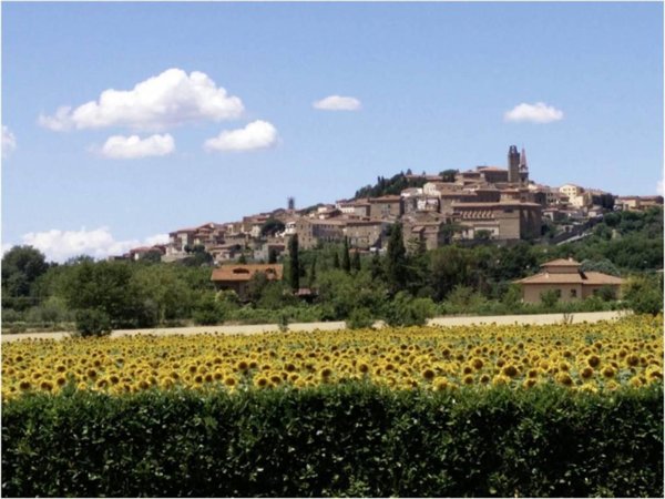 casa indipendente in vendita a Castelfiorentino