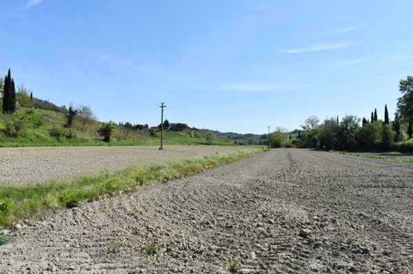 terreno agricolo in vendita a Castelfiorentino in zona Cambiano
