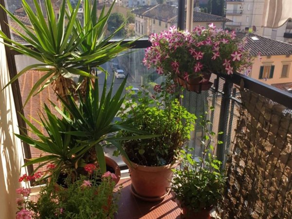 appartamento in vendita a Castelfiorentino