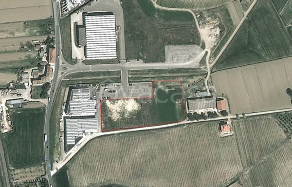 terreno agricolo in vendita a Castelfiorentino in zona Cambiano