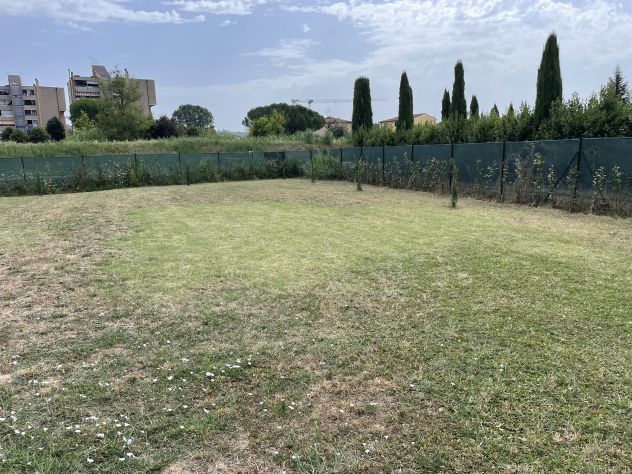terreno agricolo in vendita a Castelfiorentino