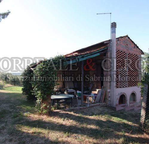 terreno agricolo in vendita a Castelfiorentino