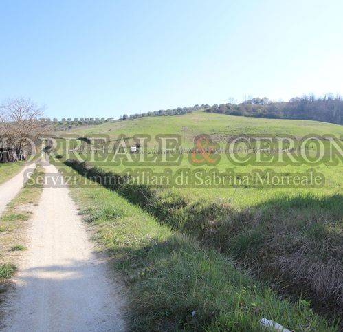 terreno agricolo in vendita a Castelfiorentino