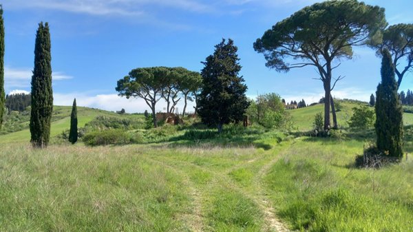 esavano in vendita a Castelfiorentino in zona Cambiano