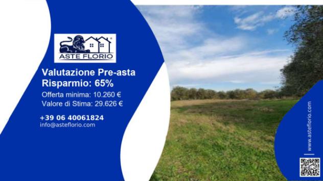terreno agricolo in vendita a Castelfiorentino