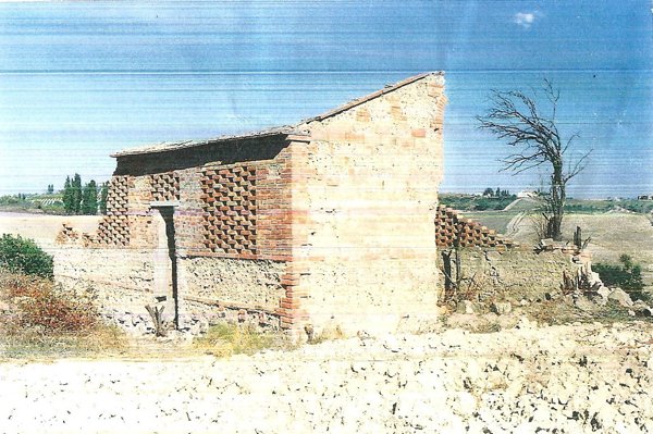 terreno agricolo in vendita a Castelfiorentino