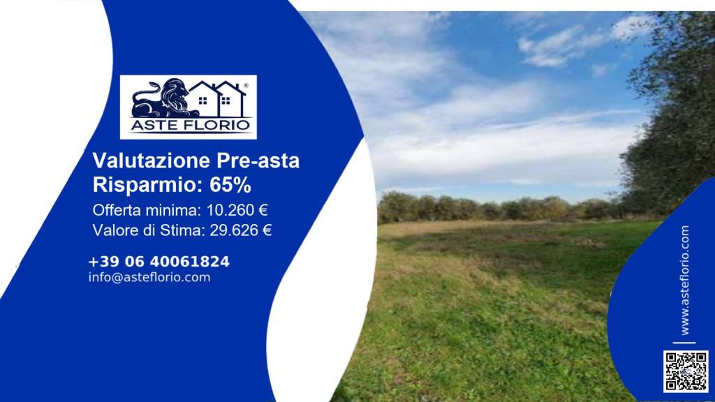 terreno agricolo in vendita a Castelfiorentino