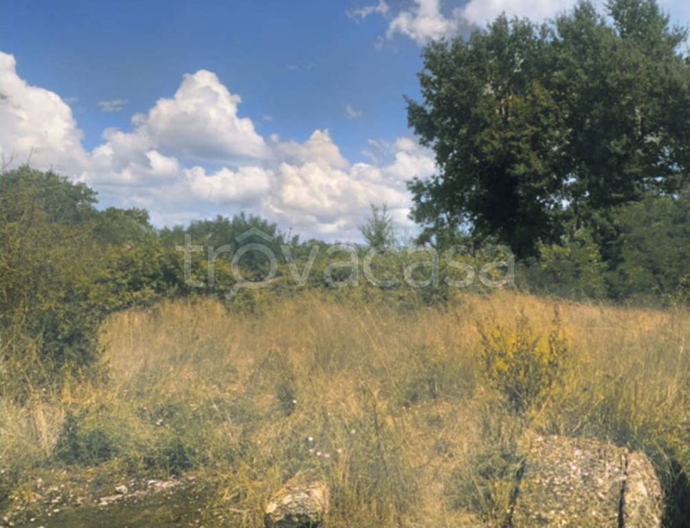 terreno agricolo in vendita a Castelfiorentino