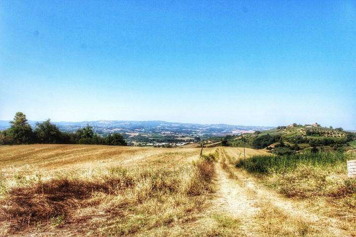 appartamento in vendita a Castelfiorentino