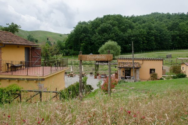 negozio in vendita a Castelfiorentino